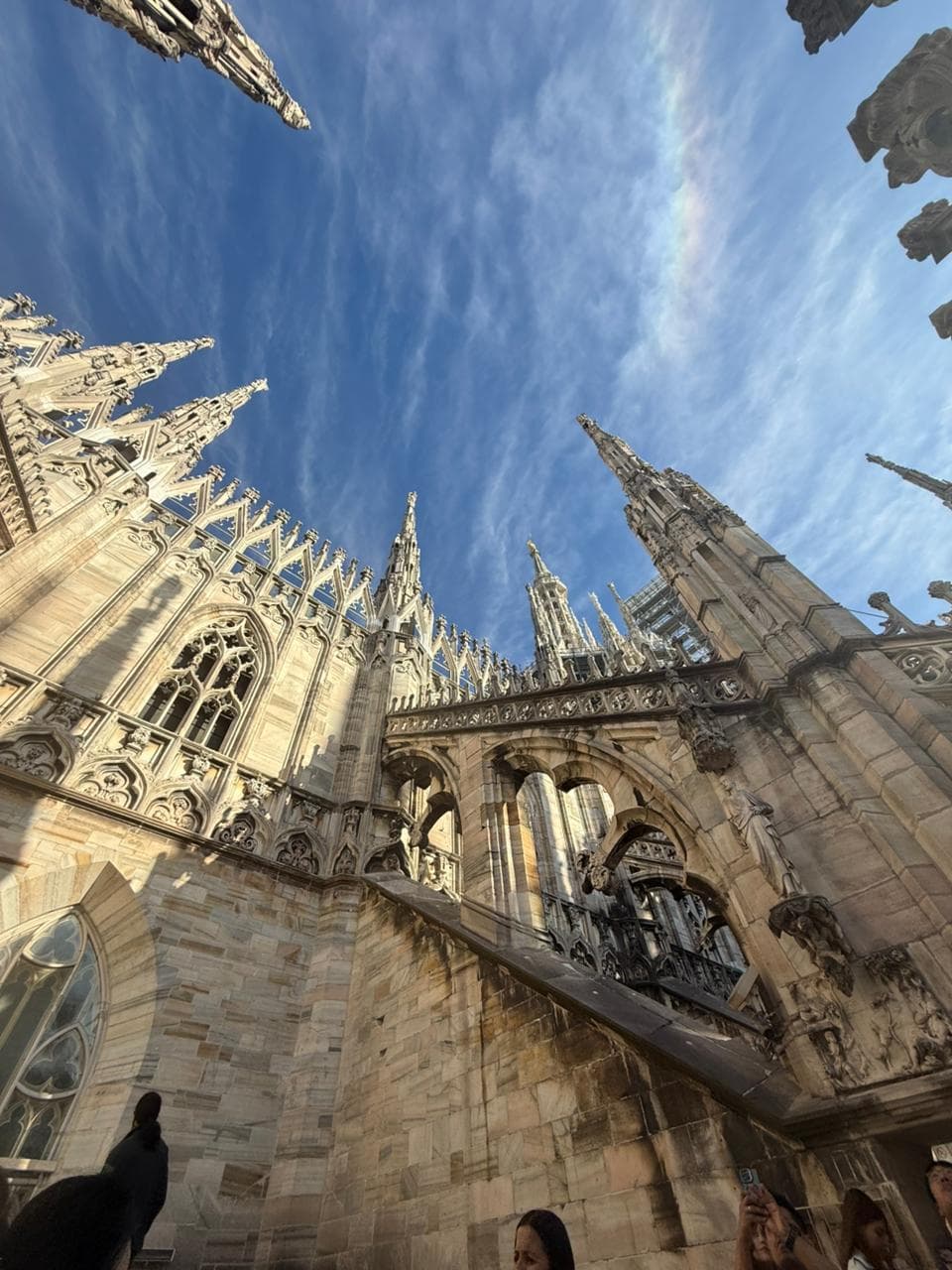 Looking up at the carved marble walls and spires of Milan Cathedral