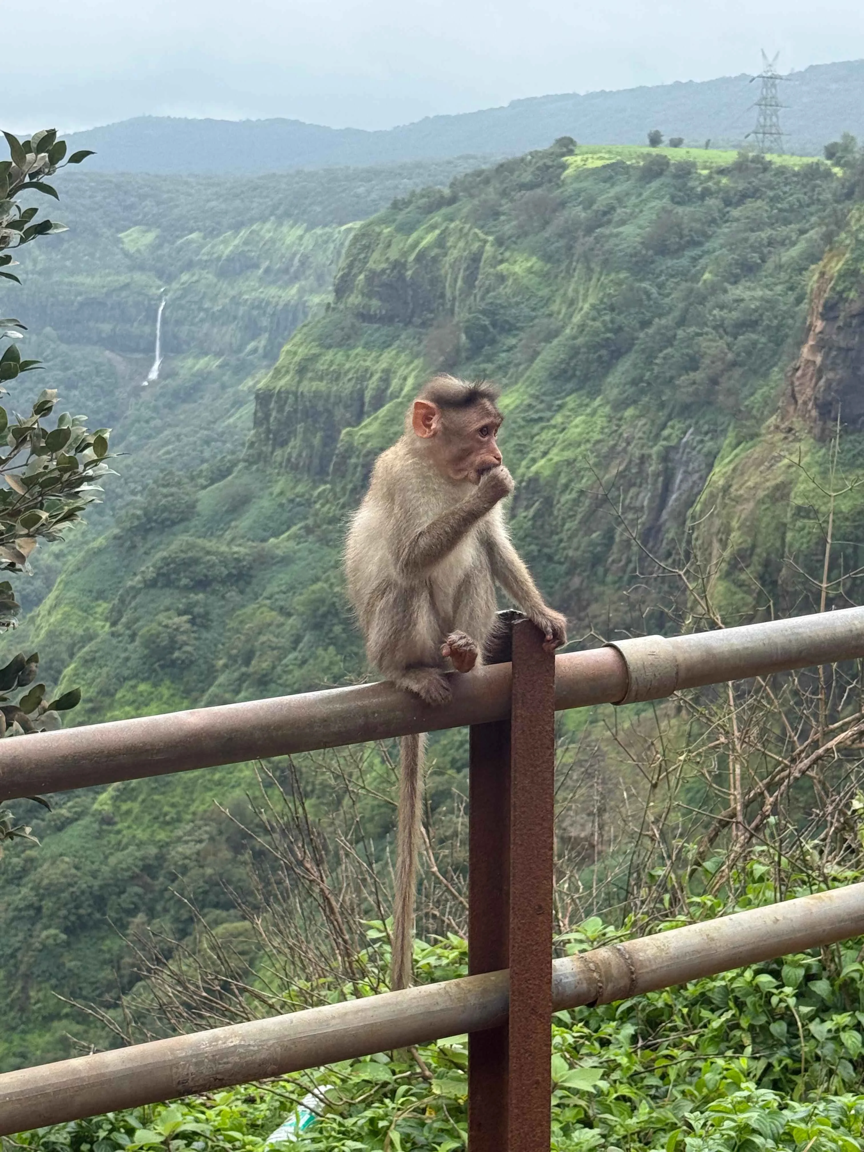 Bangalore · India